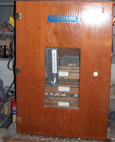Cabinet type incubator Cabinet type incubator